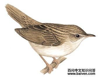 �ڰ߻�ݺ��ͼ��