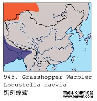 �ڰ߻�ݺ�ĵ����ֲ�ͼ