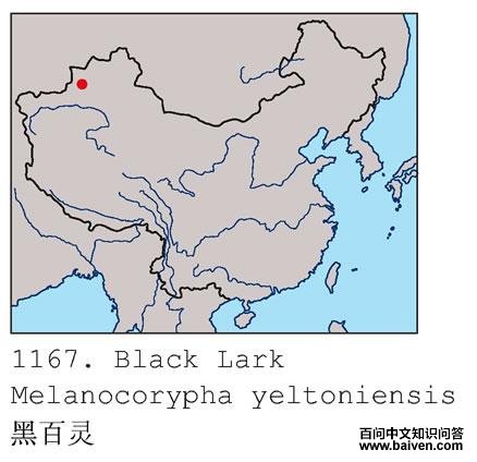 �ڰ���ĵ����ֲ�ͼ