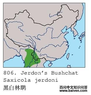 �ڰ����S�ĵ����ֲ�ͼ