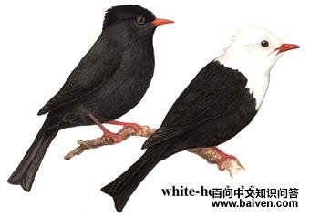 ��[�̽�]�ǵ�ͼ��