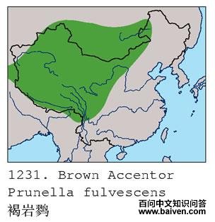 �����ҵĵ����ֲ�ͼ