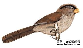 ��ѻȸ��ͼ��