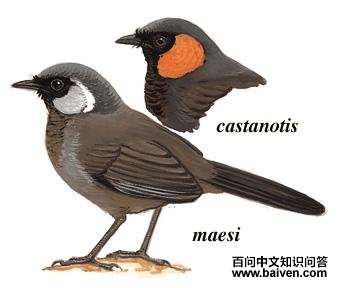 �������̵�ͼ��