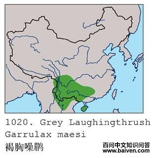 �������̵ĵ����ֲ�ͼ