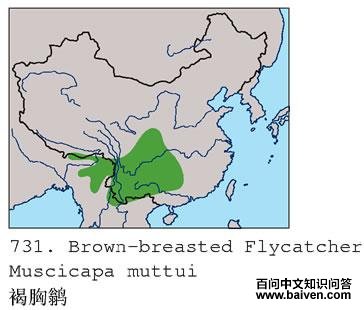 �����l�ĵ����ֲ�ͼ