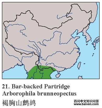 ����ɽ���ĵ����ֲ�ͼ