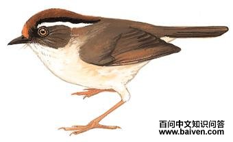 ��вȸ�̵�ͼ��