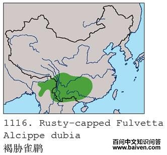 ��вȸ�̵ĵ����ֲ�ͼ