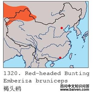 ��ͷ�c�ĵ����ֲ�ͼ