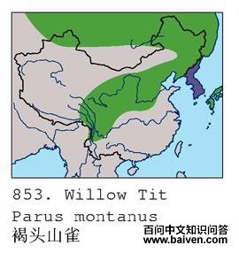 ��ͷɽȸ�ĵ����ֲ�ͼ