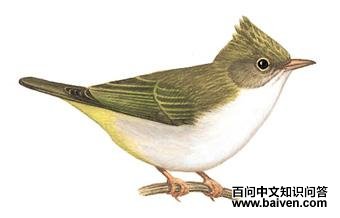 �׸����̵�ͼ��