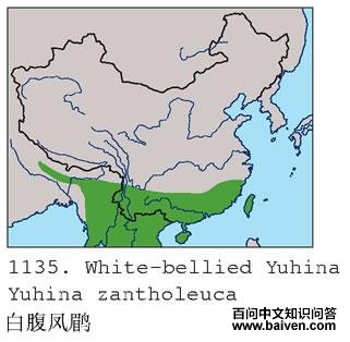 �׸����̵ĵ����ֲ�ͼ