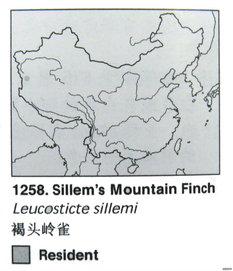 ��ͷ��ȸ�ĵ����ֲ�ͼ