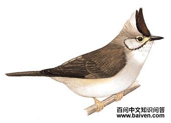 ��ͷ���̵�ͼ��