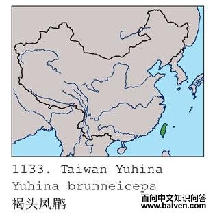 ��ͷ���̵ĵ����ֲ�ͼ