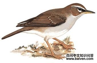 ��ͷ��ͼ��