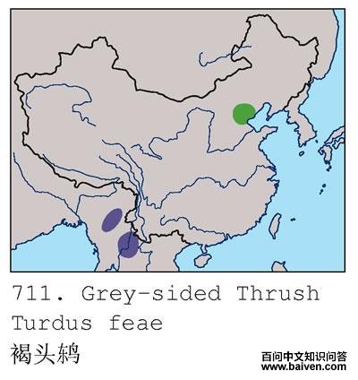 ��ͷ�ĵ����ֲ�ͼ