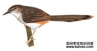 ��ɽ��ݺ��ͼ��