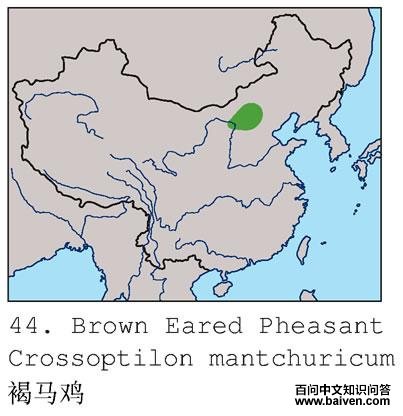 �������ĵ����ֲ�ͼ