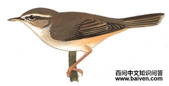 ����ݺ��ͼ��