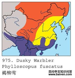 ����ݺ�ĵ����ֲ�ͼ