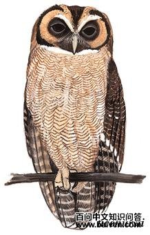 �����^��ͼ��