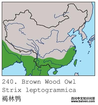 �����^�ĵ����ֲ�ͼ