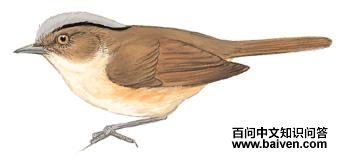 ����ȸ�̵�ͼ��