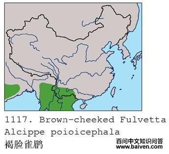 ����ȸ�̵ĵ����ֲ�ͼ