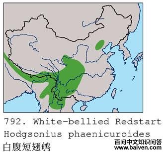 �׸��̳��ĵ����ֲ�ͼ