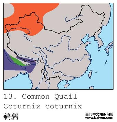 ���ȵĵ����ֲ�ͼ