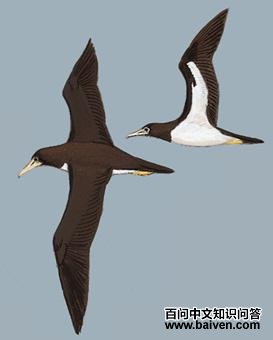 �������ͼ��