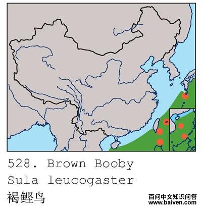 ������ĵ����ֲ�ͼ