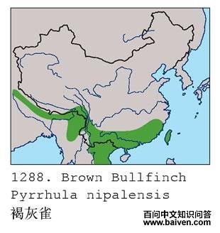 �ֻ�ȸ�ĵ����ֲ�ͼ