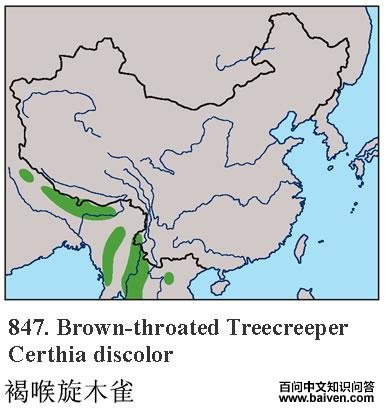 �ֺ���ľȸ�ĵ����ֲ�ͼ