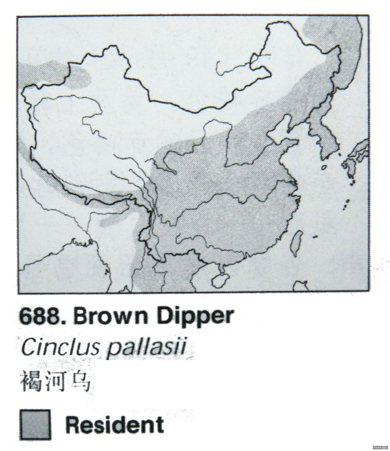 �ֺ��ڵĵ����ֲ�ͼ