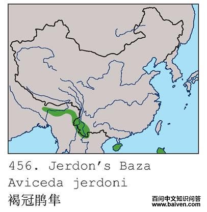 �ֹھ����ĵ����ֲ�ͼ