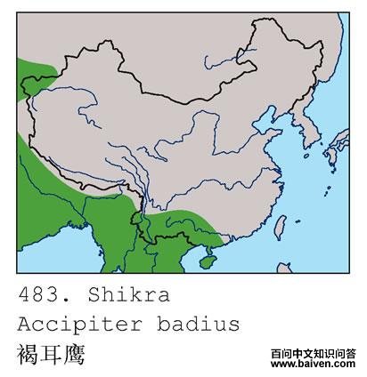 �ֶ�ӥ�ĵ����ֲ�ͼ