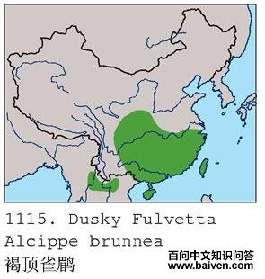 �ֶ�ȸ�̵ĵ����ֲ�ͼ