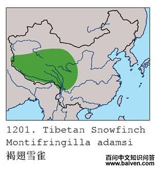 �ֳ�ѩȸ�ĵ����ֲ�ͼ