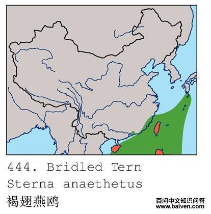 �ֳ���Ÿ�ĵ����ֲ�ͼ