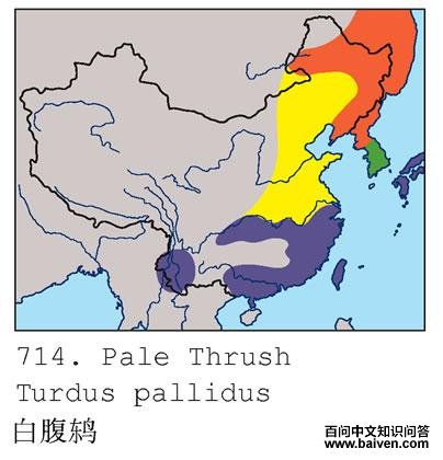 �׸��ĵ����ֲ�ͼ