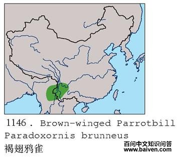 �ֳ�ѻȸ�ĵ����ֲ�ͼ