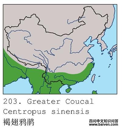 �ֳ�ѻ��ĵ����ֲ�ͼ