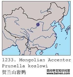 ����ɽ���ҵĵ����ֲ�ͼ