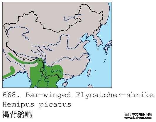 �ֱ�ȵ�V�ĵ����ֲ�ͼ