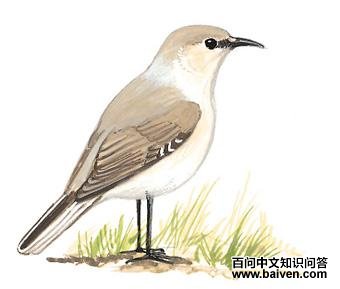 �ֱ����ѻ��ͼ��