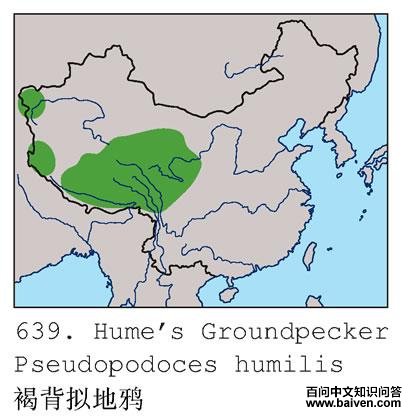 �ֱ����ѻ�ĵ����ֲ�ͼ