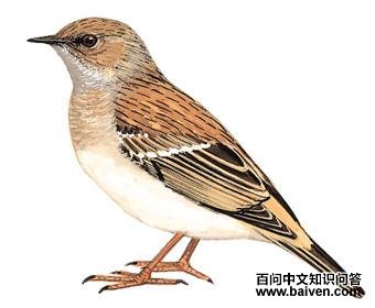 ����ɽ���ҵ�ͼ��